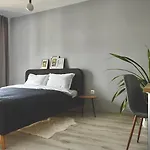 Blue Boho And * 布拉索夫