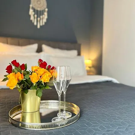 Blue Boho And Apartment