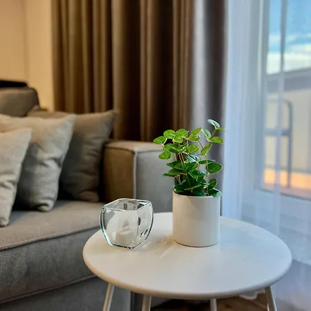 Blue Boho And * Brașov