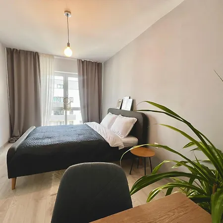 Blue Boho And * Brașov