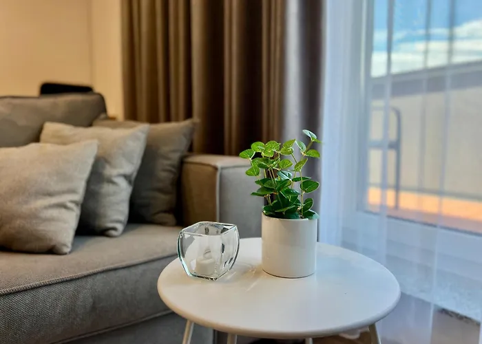 Blue Boho And * Braşov