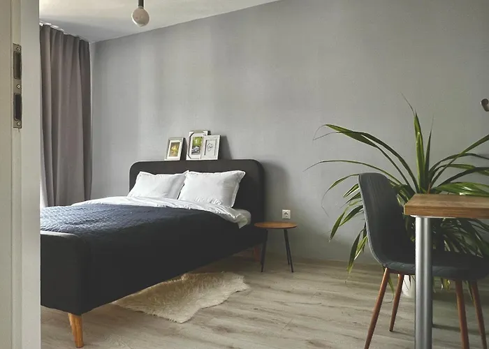 Blue Boho And * Braşov