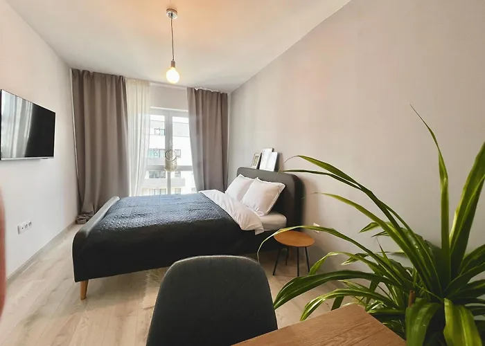 Blue Boho And * Braşov